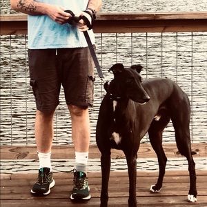 Meet your Posher, Barrie